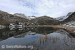 F122296: Spiegelung einer leicht verschneiten Naturlandschaft