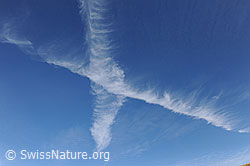 F122346: Gekreuzte Wolken