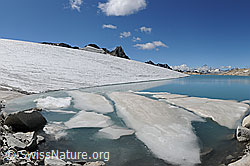F123388: Eischollen auf dem Gletschersee am Chüebodengletscher