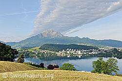 F129428: Pilatus mit Wolkenschweif