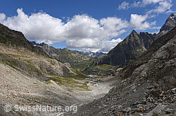 F133276: Umpol, Sustenpass und Sustenspitz