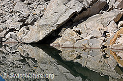 F134884: Spiegelung