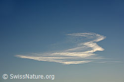 F135854: Lustig geformte Wolke