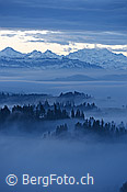 F136335: Winterliche Morgenstimmung mit Nebelmeer