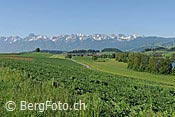 F138711: Kulturland vor Stockhornkette und Gantrisch