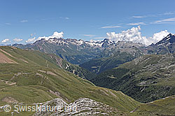 F140021: Im Aufstieg zum Oberblatthorn: Blick über das Saflischtal zum Ofenhorn