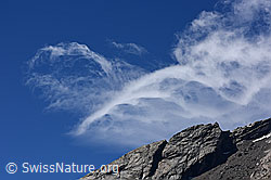 F143455: Federwolken am blauen Himmel