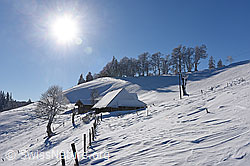 F144222: Winterlandschaft mit Alphütte im Gegenlicht