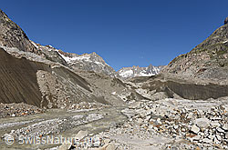 F152916: Unteraargletscher und Escherhorn