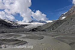 F153377: Schwemmebene vor dem Schwarzberggletscher