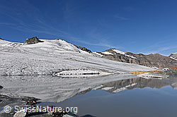 F154209: Spiegelung in Gletschersee