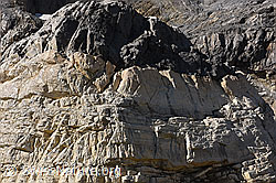 F155037: Helle Dolomitschicht