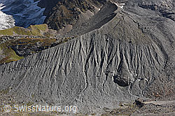 F155125: Seitenmoräne von Breithorngletscher und Grosshorngletscher