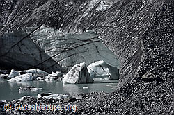 F155869: Eisschollen auf Gletschersee