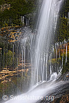 F155985: Quellwasser