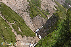 F158945: Alpines V-Tal