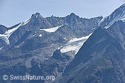 F159450: Dürrenhorn, Hohberghorn und Festigletscher
