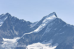F159459: Dom, Täschhorn und oberer Teil des Kingletschers