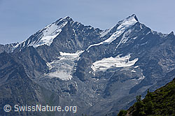 F159479: Dom, Täschhorn und Kingletscher