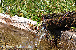 F160694: Trinkwasser