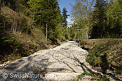F164865: Trockenheit