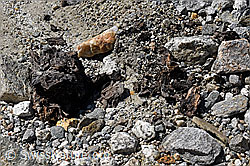 F169760: Holzfund Nr. 1 am Unteraargletscher
