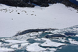F175143: Chüebodengletscher: Abbruchstelle, Eisschollen und kleine Eisberge