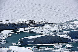 F175149: Chüebodengletscher: Abbruchstelle, Eisschollen und kleine Eisberge