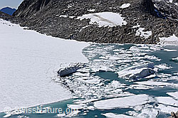 F175184: Chüebodengletscher: Abbruchstelle, Eisschollen und kleine Eisberge
