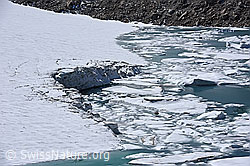 F175202: Chüebodengletscher: Abbruchstelle und Eisschollen