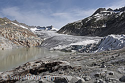 F185383: Gletscherabdeckung am Rhonegletscher  (Stand 7.2021)