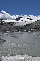 F189867: Tagesgang Schmelzwasser Schwarzberggletscher