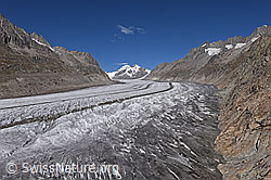 F231991: Grosser Aletschgletscher (Stand 9.2022)
