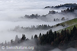 F287920: An der Nebelgrenze