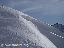 G001128: Gipfelwächte am Gandhorn