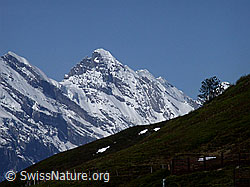 G002649: Kleinen Scheidegg: Tschingelspitz und Gspaltenhorn