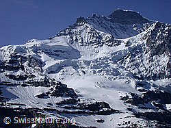 G002667: Kleinen Scheidegg: Jungfrau
