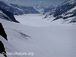 G002744: Jungfraufirn Richtung Konkordiaplatz und Aletschgletscher