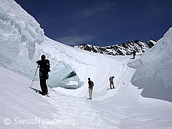 G002924: Alpinisten in Gletscherlandschaft am Jungfraujoch