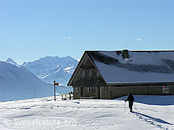 G015459: Schneeschuhläufer bei Alphütte
