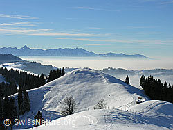 G015511: Wachthubel: Stockhornkette, Nebelmeer, Hügellandschaft