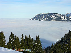 G015540: Wachthubel: Umfassendes Nebelmeer mit Beichlen
