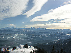 G015743: Farnliesel, Sumiswald, Emmental