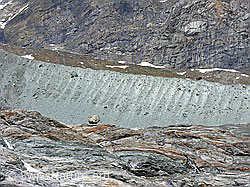 G018739: Seitenmoräne