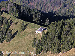 G024070: Alphütte an Gratkante und Wald