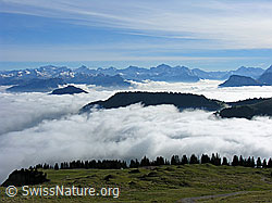 G024224: Nebelmeer Zentralschweiz und Reusstal