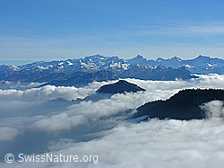G024257: Nebelmeer mit Nebelwalzen