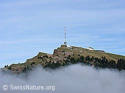 G024279: Rigi Kulm mit Nebelschwaden