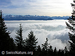 G024290: Nebelmeer