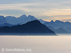 G024327: Stanserhorn und Berner Alpen mit Nebelmeer